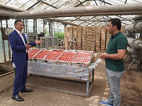 ������ ���������� ������� ��������� �������� � ������� ���������