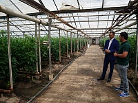 ������ ���������� ������� ��������� �������� � ������� ���������