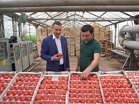 ������ ���������� ������� ��������� �������� � ������� ���������