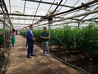 ������ ���������� ������� ��������� �������� � ������� ���������