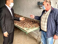 � ���������-�������� ��������������� ����� ����������������� �������