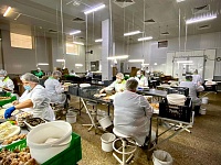 � ���������-�������� ��������������� ����� ����������������� �������