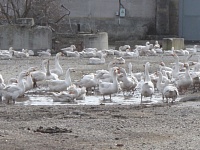 ��������������� ��������� ������ ��������� �� ���������� ������ ������ 