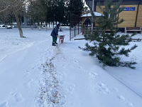 � 2 ������� � ���������-��������� ������ �������� ����� ����������� ����������� �� �������� ��������