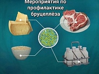 ���������: ��� ������� ���� �� ������� ��������