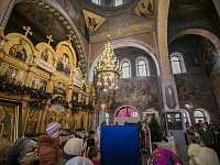 � ����� ����������� ��������� ������ �������������� ����