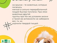 ������ �������� ������� 